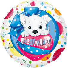 Фольгированный шар (18''/46 см) Круг, Щенок (Поздравляю), 1 шт.