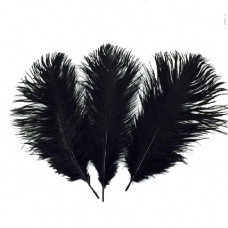 Перья Черные, 30шт