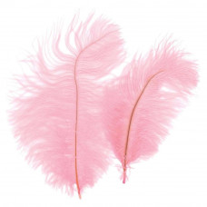 Перья Светло-розовые, 30шт