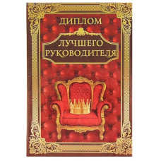 Диплом "Лучший руководитель"