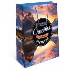 Пакет подарочный, Безграничного счастья и другие, 43*33*10 см, 1 шт.