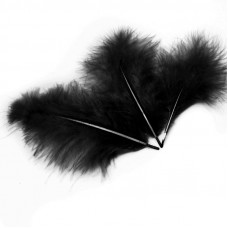 Перья, Премиум, Черный, 12-15 см, 30 шт.
