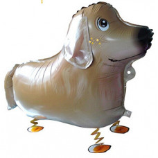 Шар (24"/ 61 см) Ходячая Фигура, Ретривер