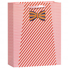 Пакет подарочный Стильный (полосы), Красный, 18*23*10 см